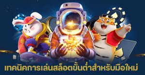 เทคนิคการเล่นสล็อต